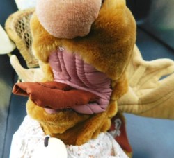 wrinkles moose puppet 2 view